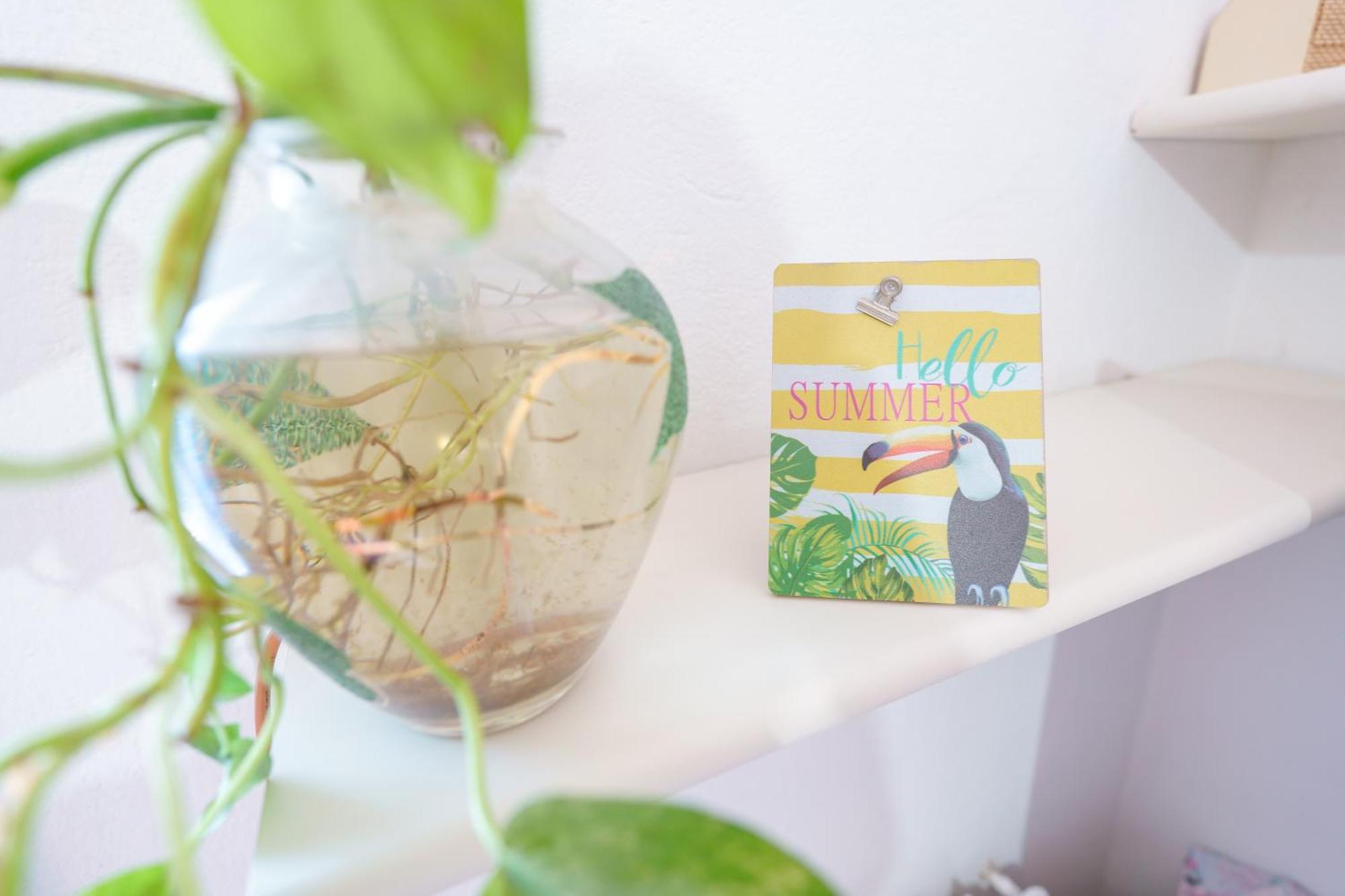 B&B Pothos - Eng Ita - Air Conditioning Wi-Fi Fridge Netflix Local Guide - Aria Condizionata, Frigo, Internet, Guida Locale Cagliari Exterior foto